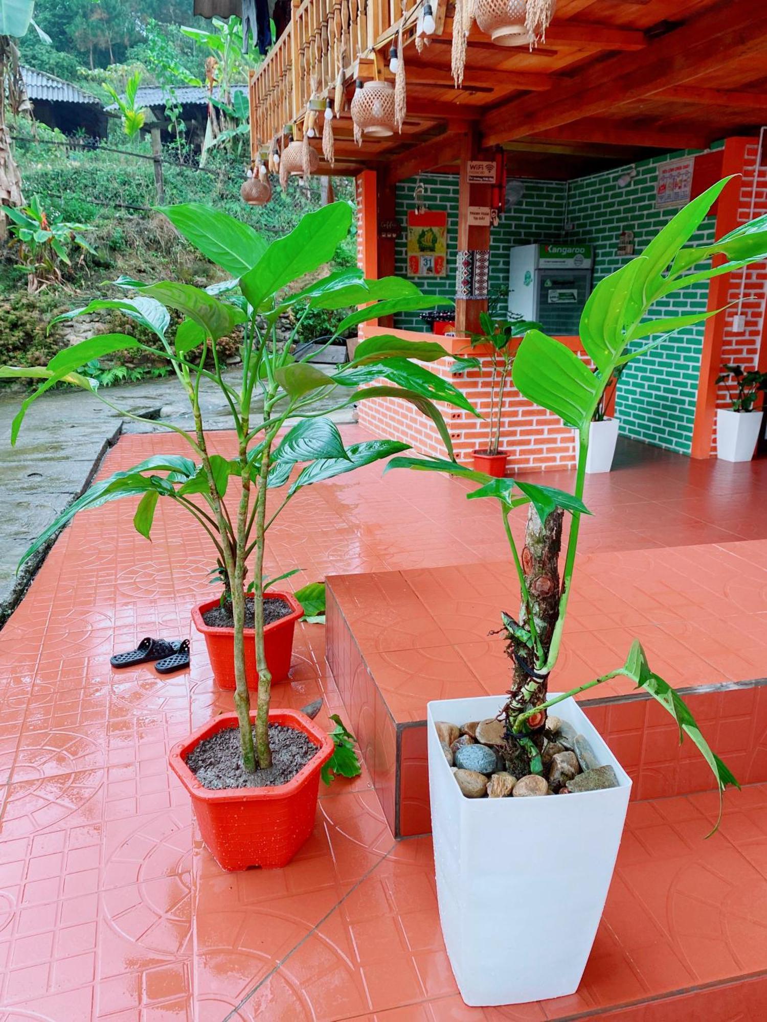 Duy Homestay Du Gia Làng Cac Esterno foto