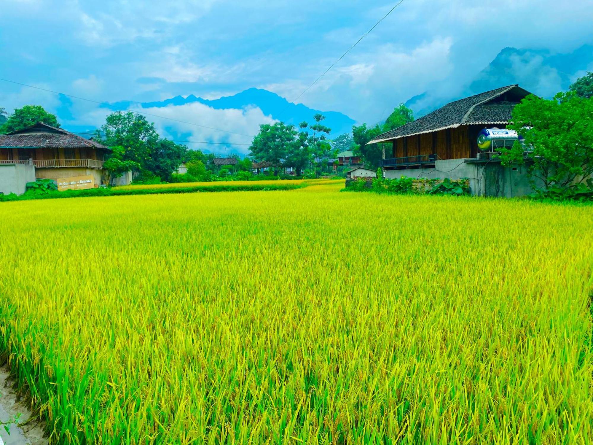 Duy Homestay Du Gia Làng Cac Esterno foto
